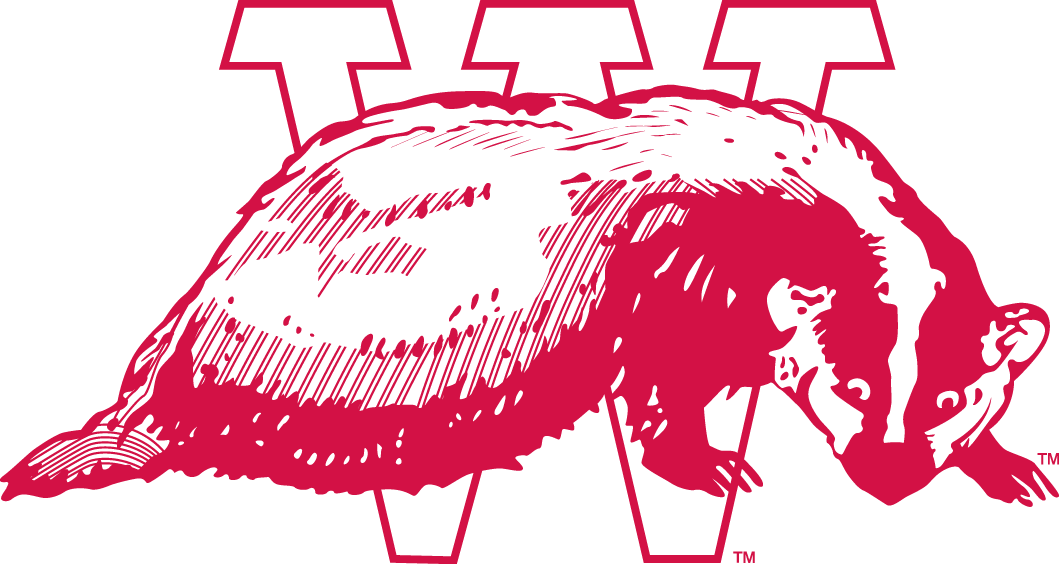 Wisconsin Badgers 1936-1947 Alternate Logo diy DTF decal sticker